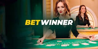 Todo lo que debes saber sobre BetWinner Argentina