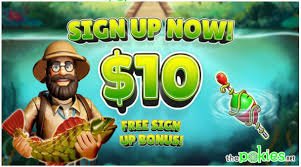 Discover the Joy of Online Gaming with thepokies net
